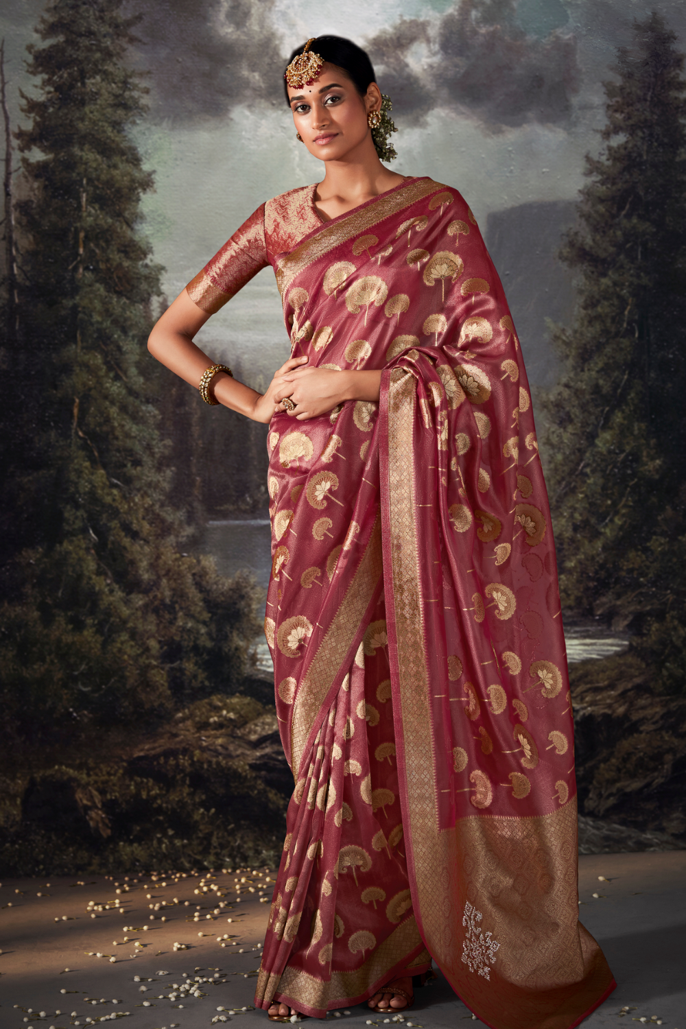 Rouge Pink Organza Saree with Swarovski Work