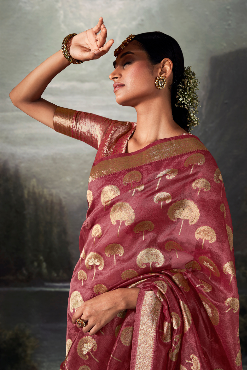 Rouge Pink Organza Saree with Swarovski Work