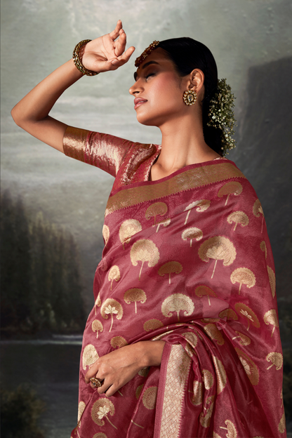 Rouge Pink Organza Saree with Swarovski Work