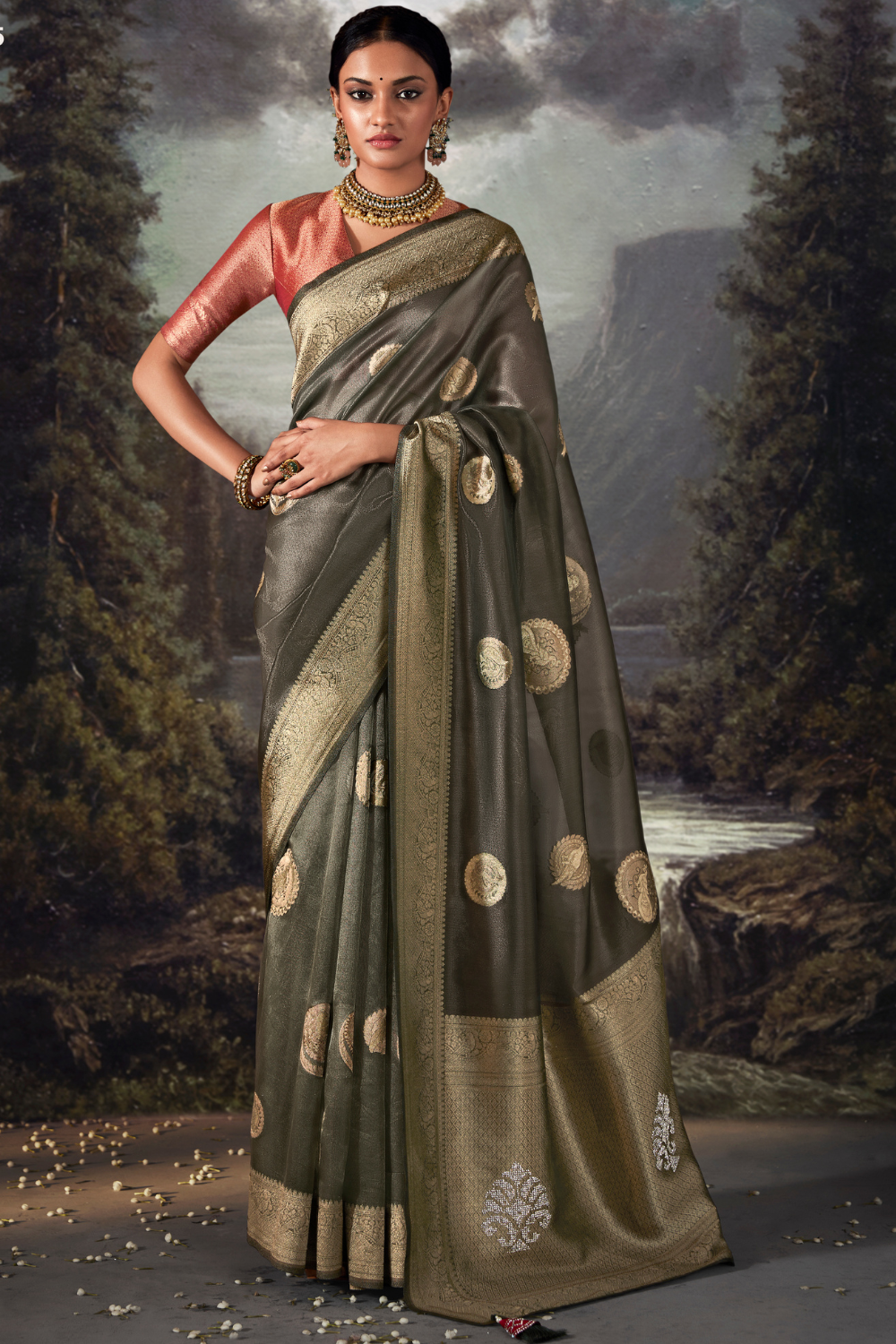 Fossil Grey Organza Saree with Swarovski Work