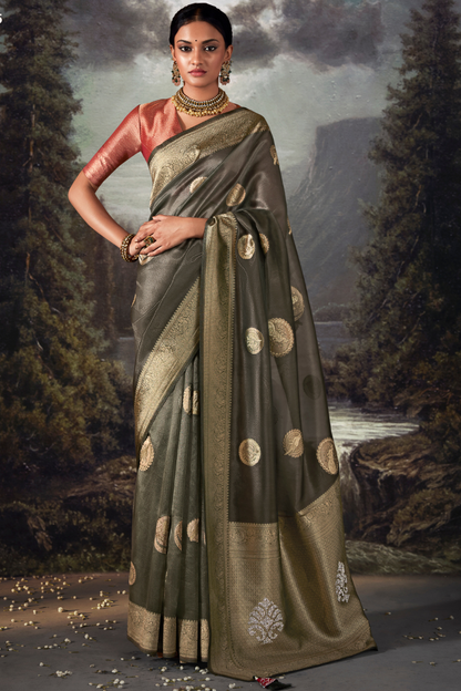 Fossil Grey Organza Saree with Swarovski Work