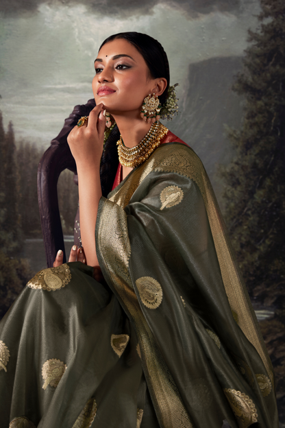 Fossil Grey Organza Saree with Swarovski Work