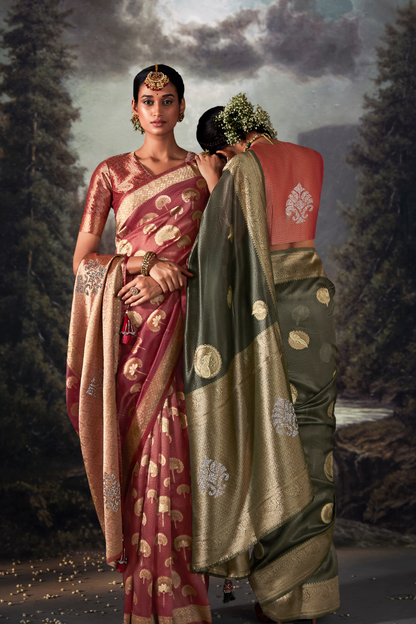 Fossil Grey Organza Saree with Swarovski Work