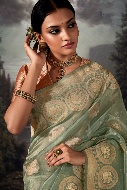 Tea Green Organza Saree with Swarovski Work