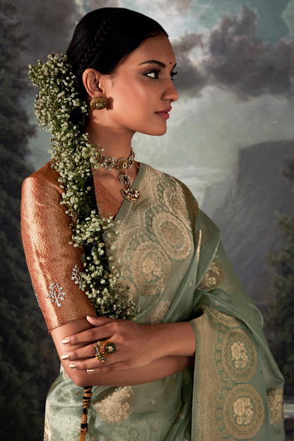 Tea Green Organza Saree with Swarovski Work