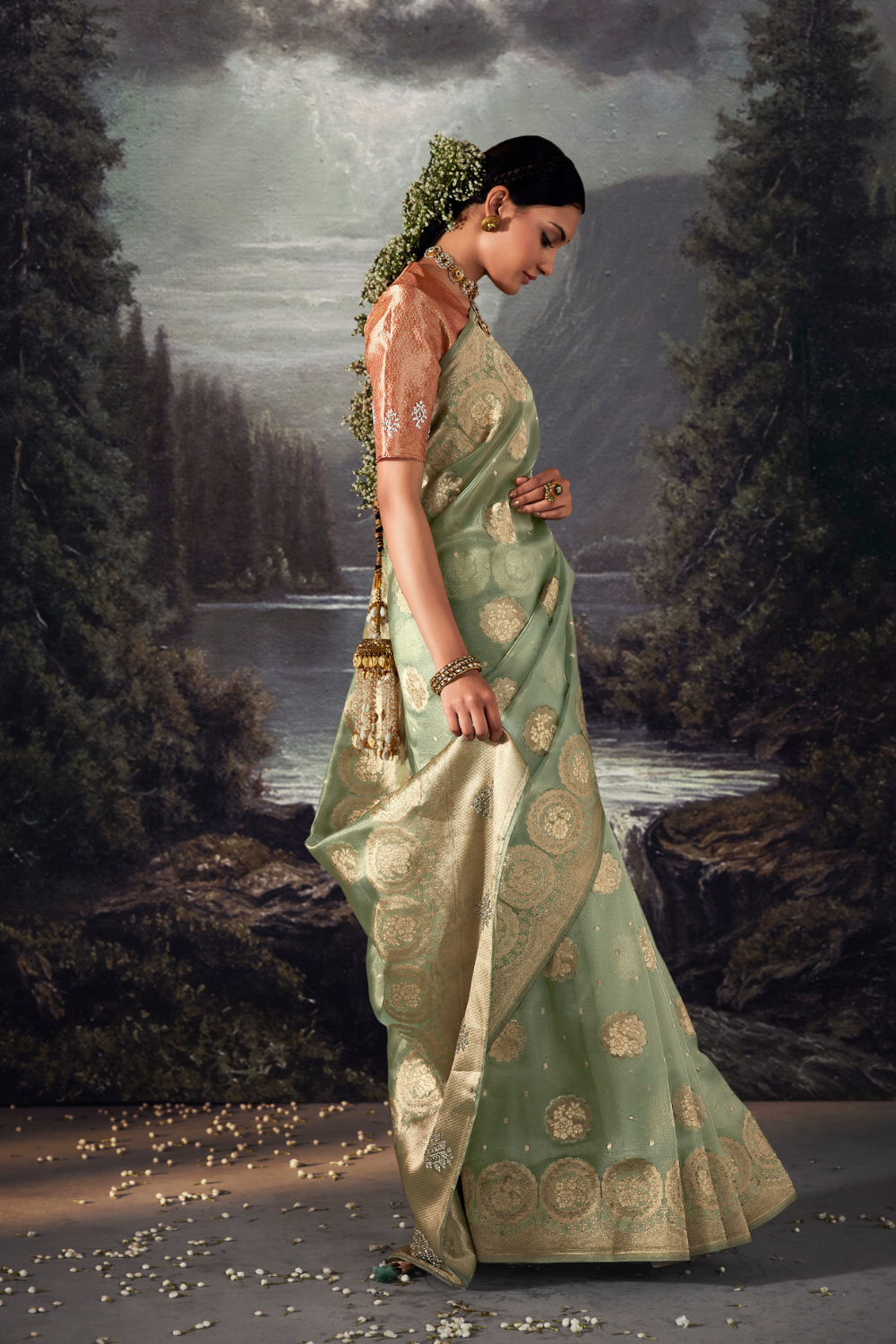 Tea Green Organza Saree with Swarovski Work