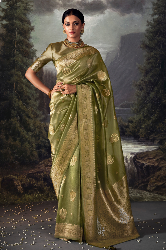 Pickle Green Organza Saree with Swarovski Work