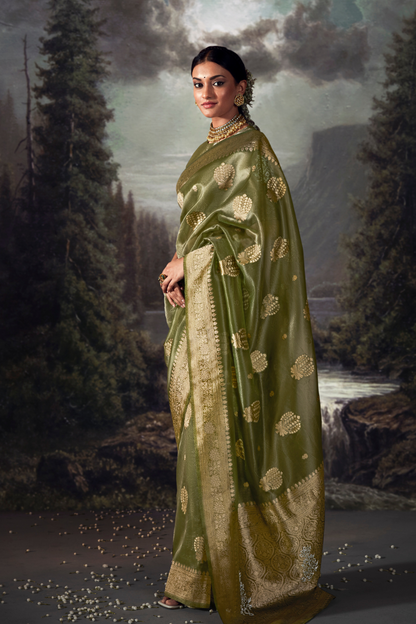 Pickle Green Organza Saree with Swarovski Work