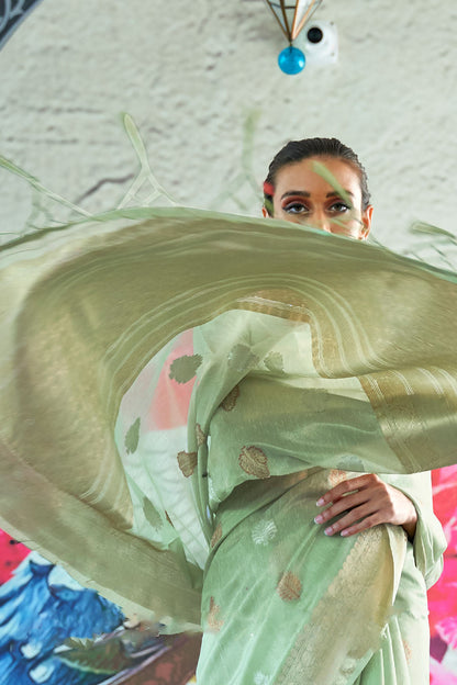 moss green organza saree 1 3