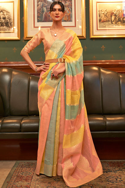 pastel yellow multicolor organza saree 3